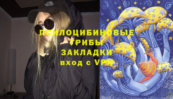 ПСИЛОЦИБИНОВЫЕ ГРИБЫ Каменск-Шахтинский