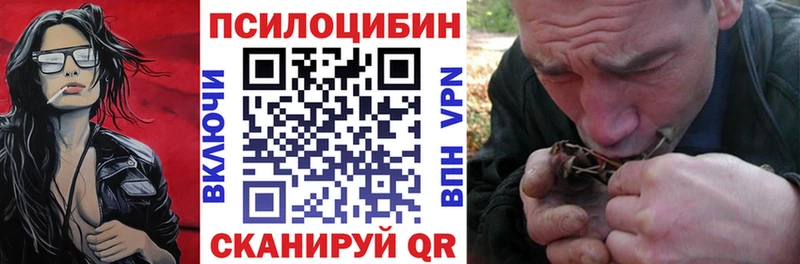 мега ссылки Павловск Галлюциногенные грибы мицелий